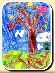 Puha Bal�zs 1.c