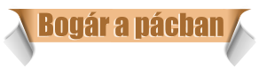 Bog�r a p�cban