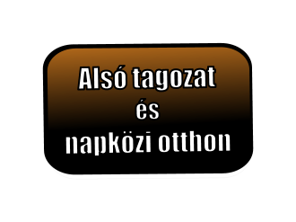 Als� tagozat �s napk�zi otthon