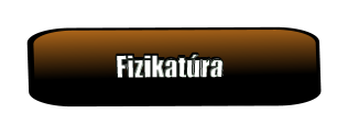 Fizikat�ra